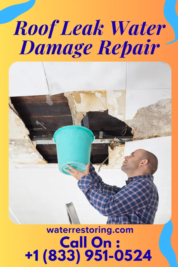 Roof Leak Water Damage Repair in Chadwick, IL