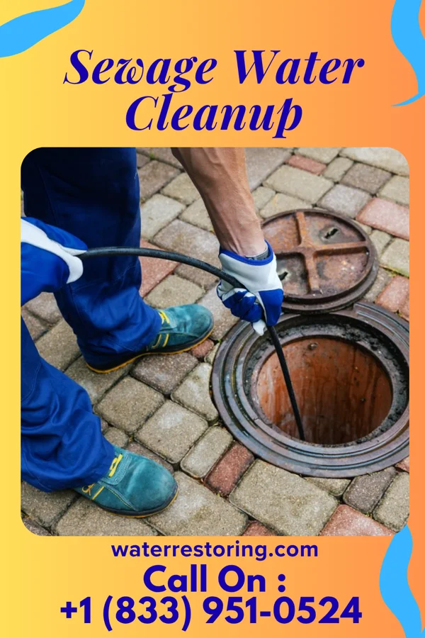 Sewage Water Cleanup in Chadwick, IL