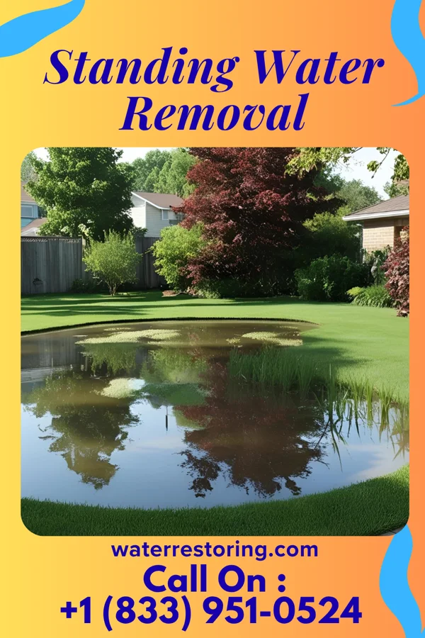Standing Water Removal in Chadwick, IL